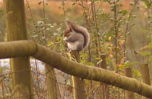 Buzzards Retreat - Foto 22