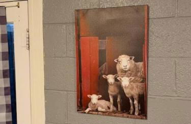 Grand Canyon Ranch Home - Western History - Big city lot - AC! - Photo 31