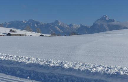 Ferienwohnung Allgäuer Landhaus Stocker in Hopferau-Füssen - Foto 7