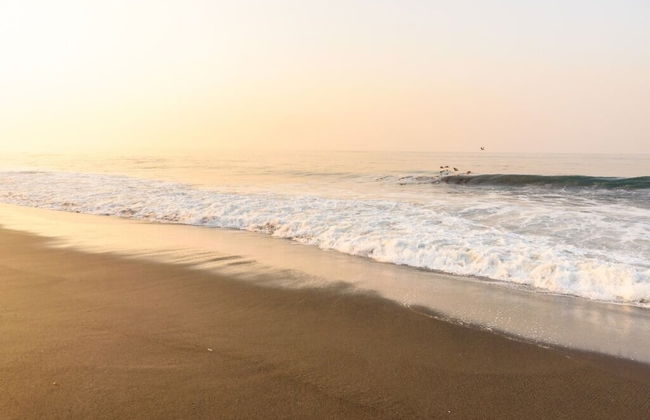 Beach House in Monterrico Guatemala - Photo 52