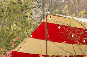 Beekeeper's Hut - Hawarden Estate - Foto 11