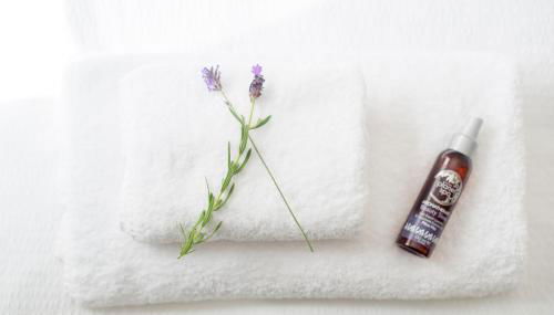 Goitre Bach Cottage - Photo 5