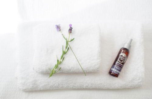 Goitre Bach Cottage - Photo 5