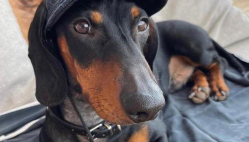 MODERNO PISO CON LA MEJOR TERRAZA DE RIBADEO Y VISTAS MARAVILLOSAS - Foto 5