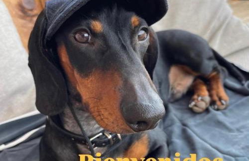 MODERNO PISO CON LA MEJOR TERRAZA DE RIBADEO Y VISTAS MARAVILLOSAS - Foto 5