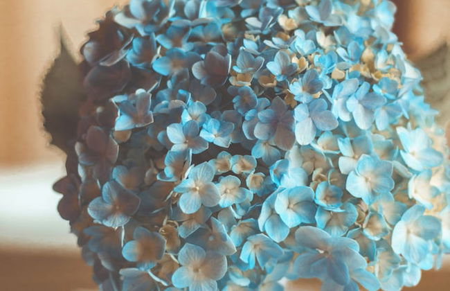 Cabanas Doce Recanto - Foto 8