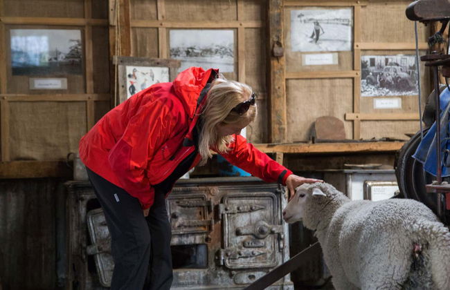 Ranch Nibepo Aike + Balade en bateau sur le Perito Moreno - Photo 8
