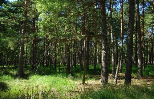 Mieszkanie Wakacyjne Smołdzino - Foto 14