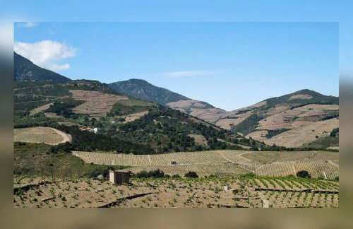 Vue mer, crique de Peyrefite, Cerbère-Banyuls. - Foto 40
