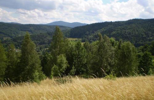 Halinówka - Twoje Miejsce w Górach Sowich - Foto 31