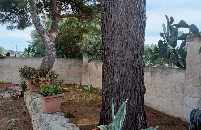 Masseria Belvedere - Photo 33