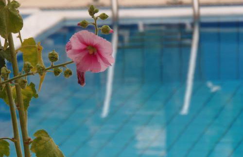 Emerald Hotel - Foto 22