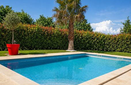 Villa Les palmiers en Provence - Logement cosy 4 pers - Foto 1