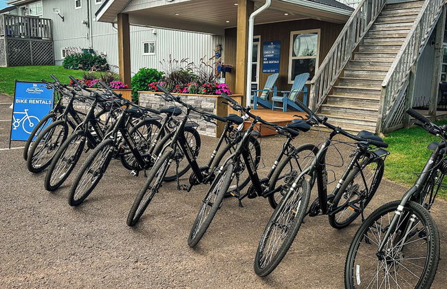 Cavendish Bosom Buddies Cottage Resort - Photo 48