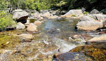 Peaceful Mtn Studio Pet-friendly - Foto 3