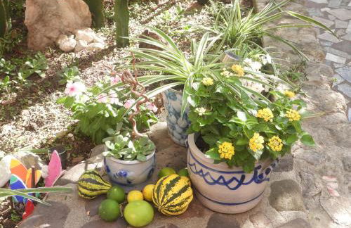 Appartement Gatti - Photo 39