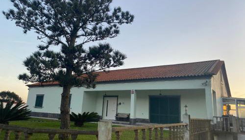 Green Tropical House - Photo 5