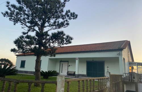 Green Tropical House - Photo 5