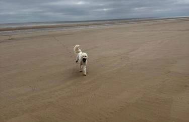 K44 Mablethorpe Chalet Park- Dog Friendly - Foto 21