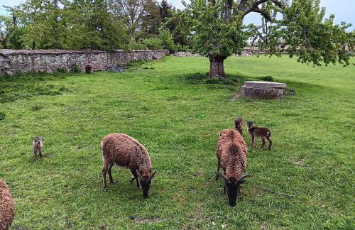 Spreequartier - Foto 16