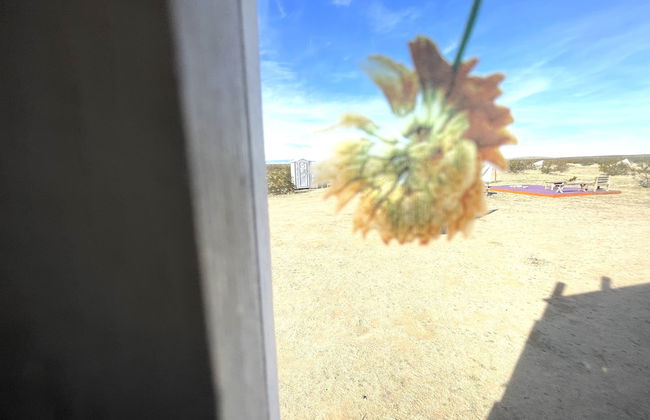 Beysicair Tents & Campground - Photo 20