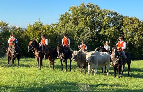 Casa di Corte - Foto 28