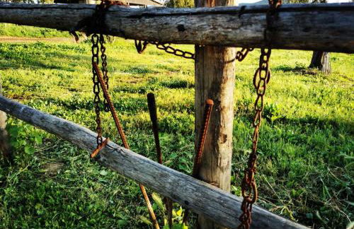 Podere Montecorno - Foto 66