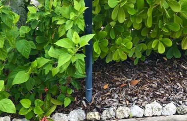 Lake Norma Luxury Living - Coronas Azul - Photo 20