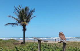 Casa bem te vi - Foto 69