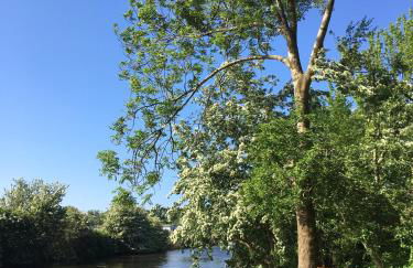 Ferienhaus Scholien - Foto 38