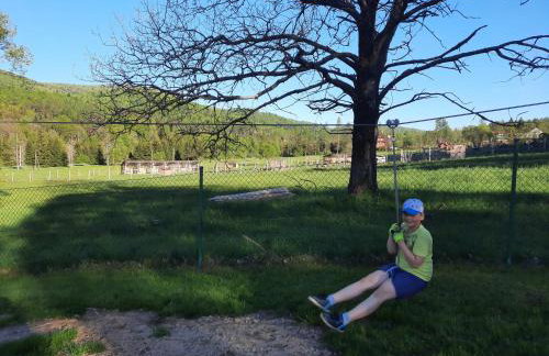 Domki pod Lipą. - Foto 50