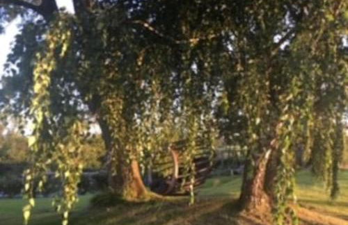 A charming unique lodge, with log burner and incredible views - Foto 9