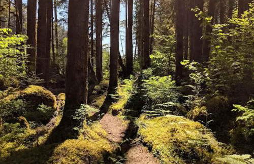 PNW River Cabin - Foto 39