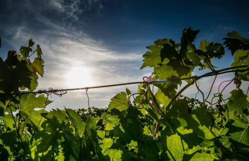 Costa Catterina B&B - Foto 42