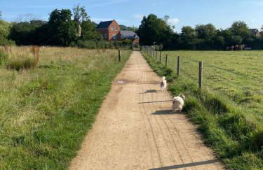 Cosy cottage in Bridport centre - Photo 40