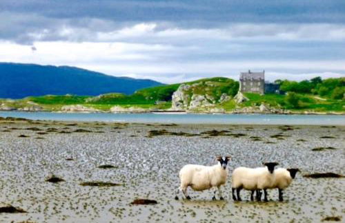 Cosy Karibu cottage with stunning canal views - Foto 37