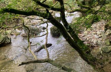 Snowdonia Holiday Lodges - Photo 6