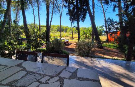 Apartments Vera - Mirca - Photo 11