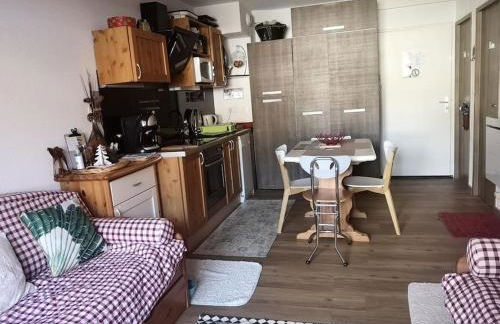 Auron, 2 pièces meublé, coin montagne,6 couchages - Foto 11