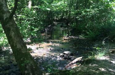 Gîte nature - 4 personnes à Signy-le-Petit - Foto 20