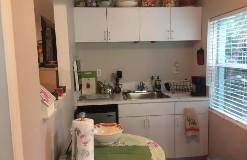 The Wild Rose - Foto 19