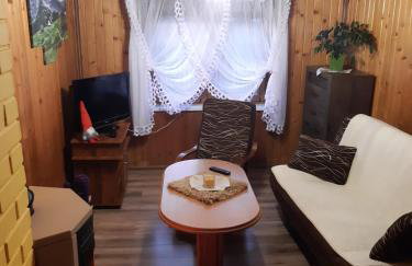 Domek w górach Wioletta - Foto 15