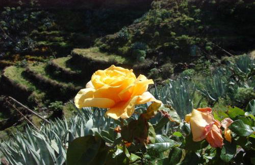 Casa el Anden - Foto 22