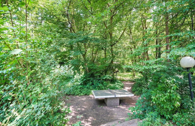 Holiday Home in Ulestraten With Forest - Foto 21