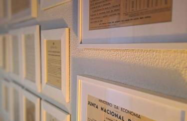 BABhouse Lagar Antigo - Coração do Douro - Foto 6