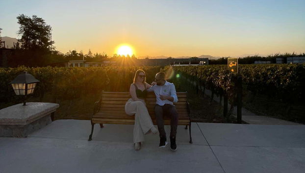 Visita al viñedo Alyan al atardecer