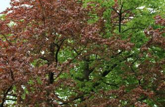 Ferienwohnung Klint 2 - Photo 18