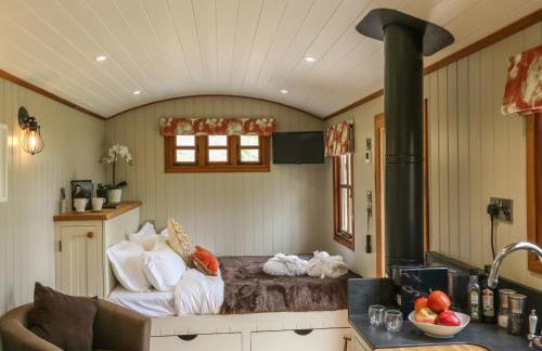 Little Silver Owl - Foto 10