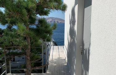 Shimmer & Shine - Foto 31