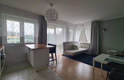 Apartament Leśny Ząbki - Foto 1